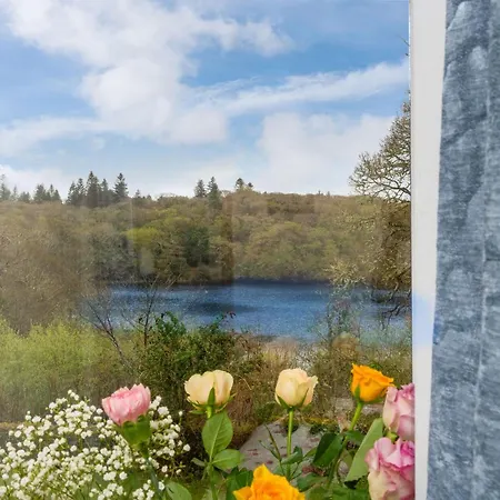 447 - * Баллинахинч