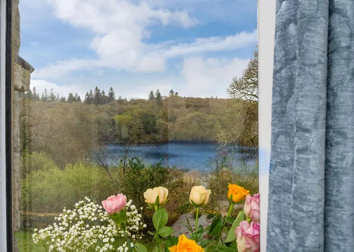 447 - * Ballynahinch